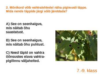 Viktoriin #4