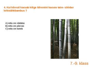 Viktoriin #8