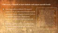William Shakespeare #7
