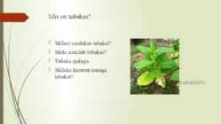 Tubakas #3