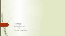 Tubakas