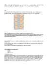 Põhikooli geograafia eksamimaterjal #10