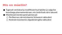 Müeliini ehitus-funktioon-häired-haigused #3