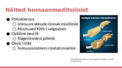 Müeliini ehitus-funktioon-häired-haigused #8