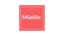 Müeliini ehitus-funktioon-häired-haigused