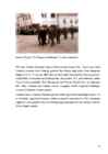 KURESSAARE PIISKOPLINNUS #20