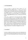 KURESSAARE PIISKOPLINNUS #10
