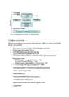 Strateegiline juhtimine #2