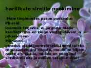 Juhend sireli paljundamisest pookimise teel #4