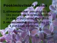 Juhend sireli paljundamisest pookimise teel #6