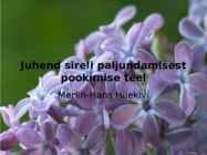 Juhend sireli paljundamisest pookimise teel