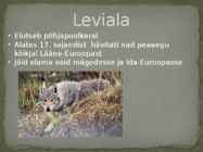 Esitlus teemal HUNT #2