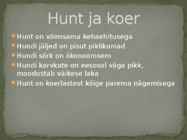 Esitlus teemal HUNT #12