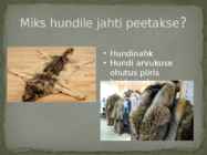 Esitlus teemal HUNT #13