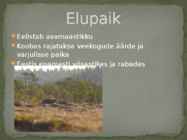 Esitlus teemal HUNT #3