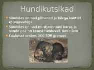 Esitlus teemal HUNT #6