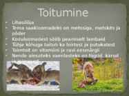 Esitlus teemal HUNT #8