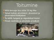 Esitlus teemal HUNT #9
