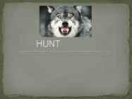 Esitlus teemal HUNT