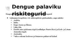 Dengue palavik #4