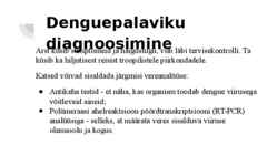 Dengue palavik #8