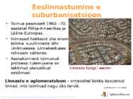 Linnad ja linnastumine #8