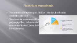 Naatriumi kokkuvõte ning omadused #8