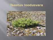 Majandusressursid #4