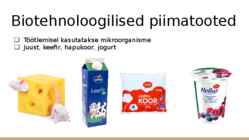 Jogurt kui biotehnoloogiline toode #3