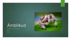 Ämblikud