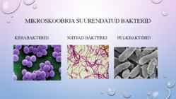 Bakterid #4