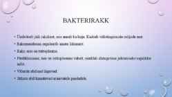 Bakterid #5