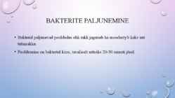 Bakterid #6