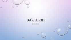 Bakterid