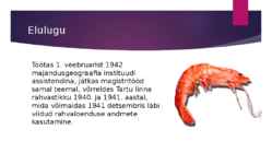 Karl Ristikivi #6