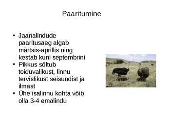 Jaanalind powerpoint #5