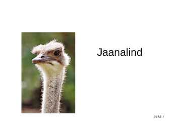 Jaanalind powerpoint