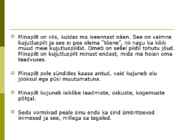 Minapilt #3