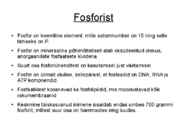 Fosfor ja erinevad liigid #2