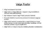 Fosfor ja erinevad liigid #3