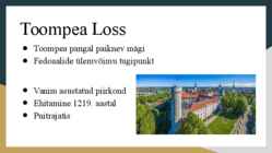 Toompea loss-Pikk Hermann-Tallinna rajamine #6