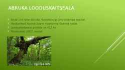 Abruka looduskaitseala #2