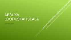 Abruka looduskaitseala
