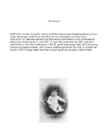 ADOLF HITLER #3