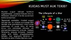 Must auk #3