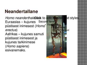 Neandertallane-powerpoint #3