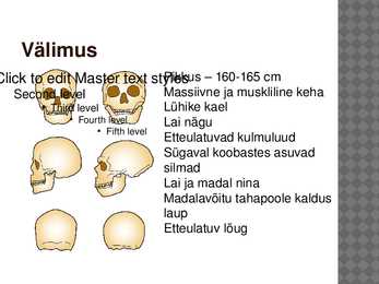 Neandertallane-powerpoint #4