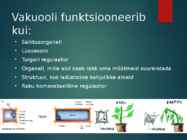 Vakuool #5