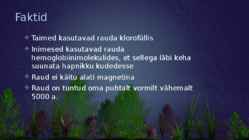 Raud #3