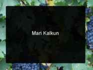 Mari Kalkun